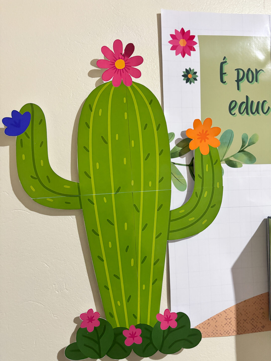 Acolhida aos professores - Cactos #coordenacao