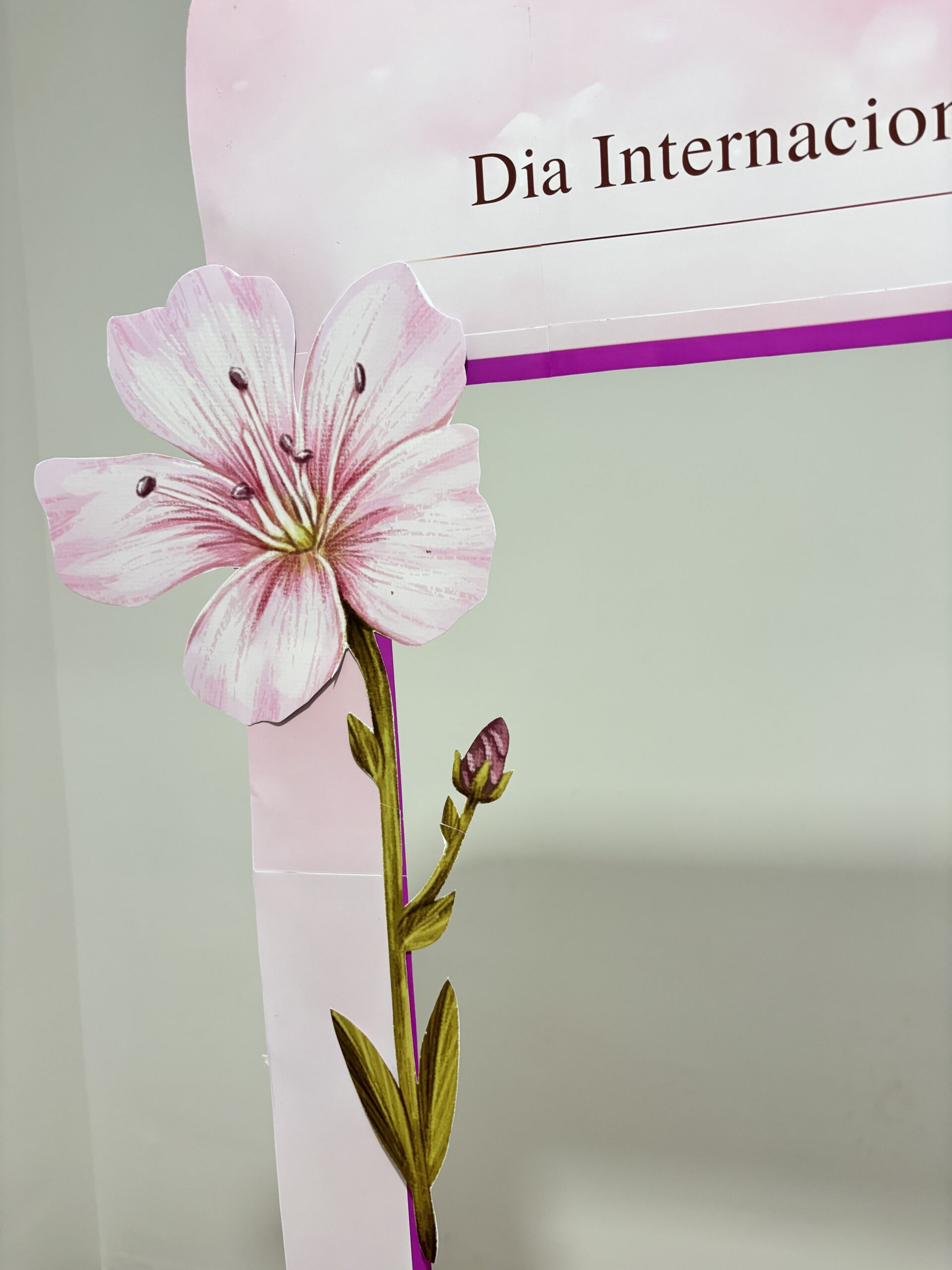 Moldura de fotos - Dia das Mulheres - Imagem 6